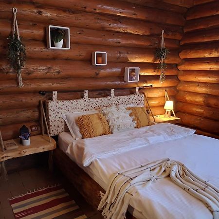 Cabana Rustic Balea Cîrţişoara Extérieur photo