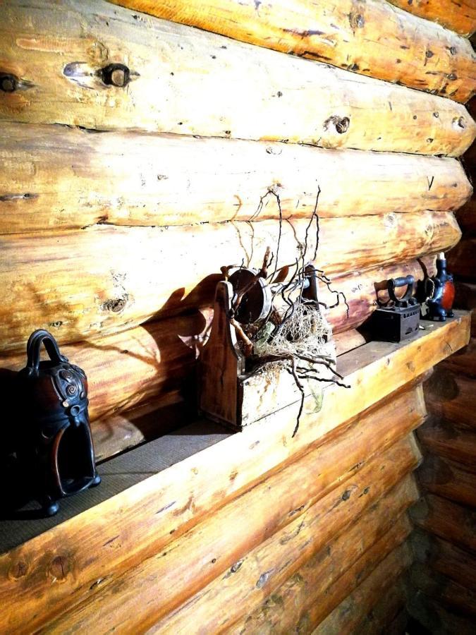 Cabana Rustic Balea Cîrţişoara Extérieur photo
