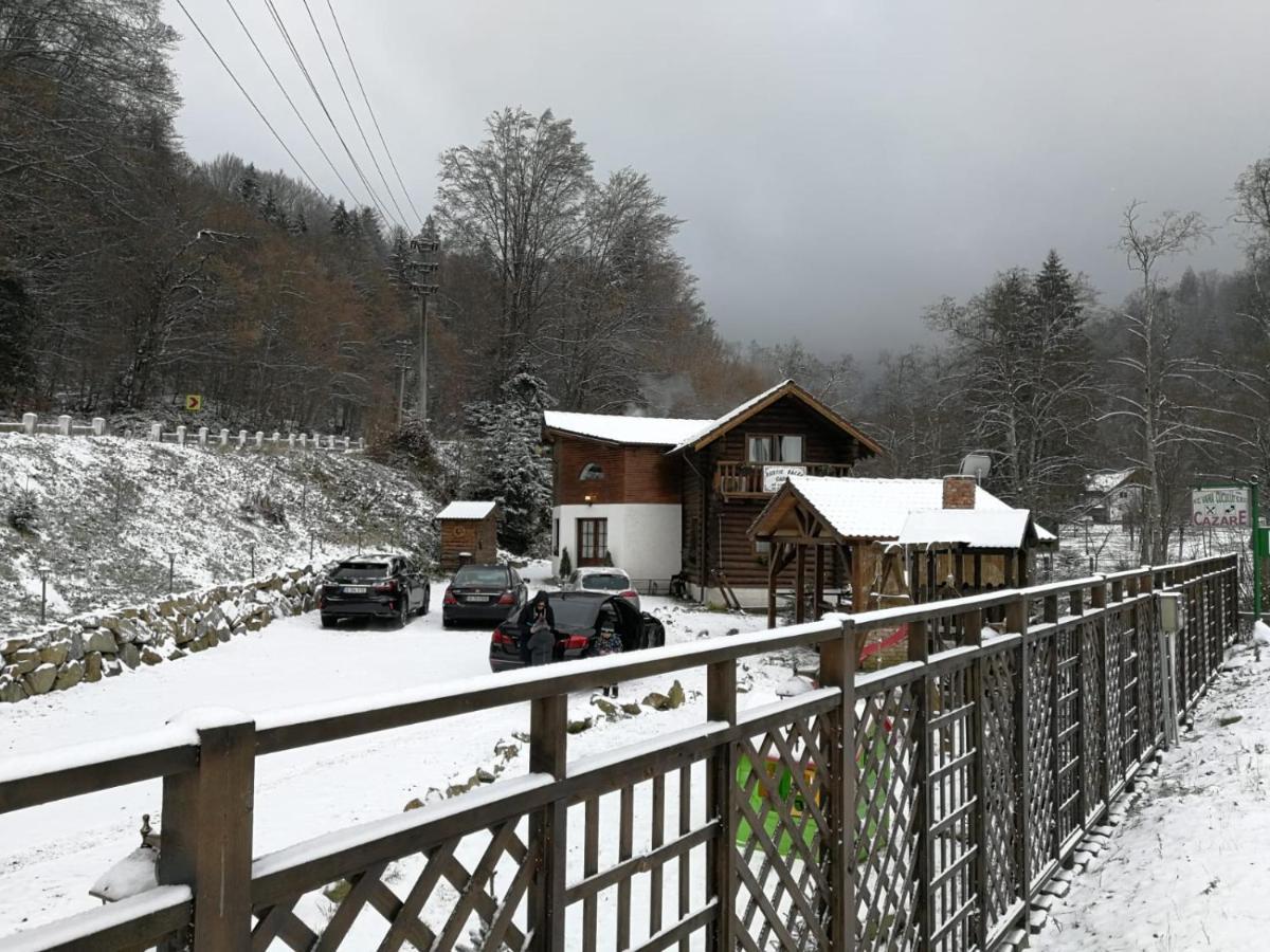 Cabana Rustic Balea Cîrţişoara Extérieur photo