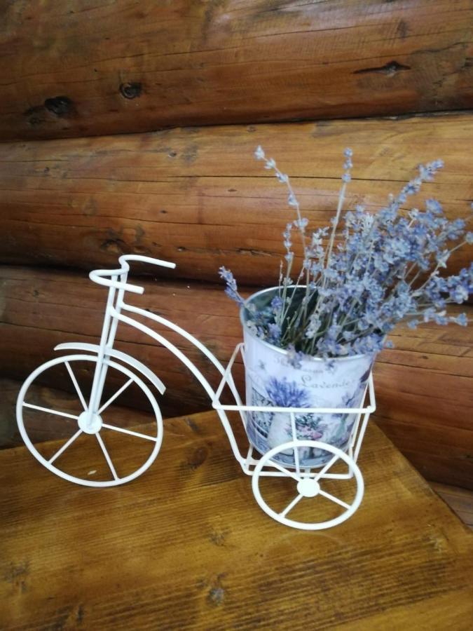 Cabana Rustic Balea Cîrţişoara Extérieur photo
