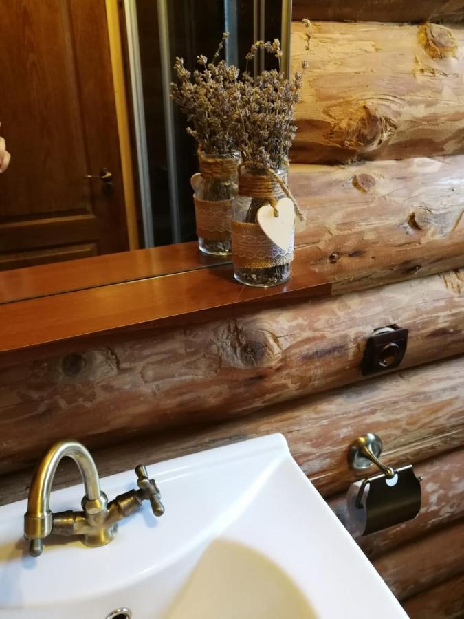 Cabana Rustic Balea Cîrţişoara Extérieur photo