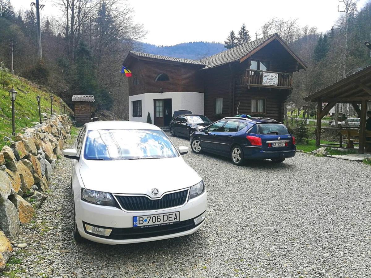 Cabana Rustic Balea Cîrţişoara Extérieur photo
