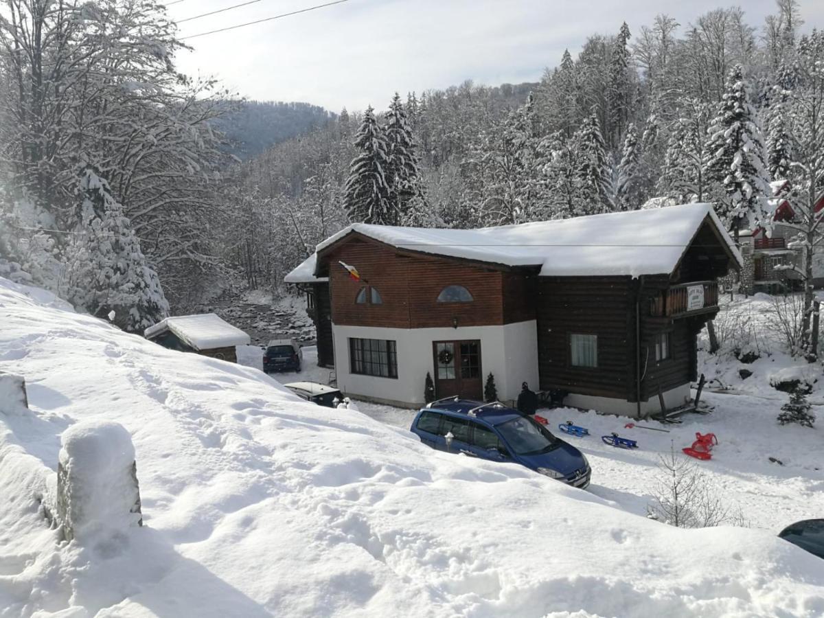 Cabana Rustic Balea Cîrţişoara Extérieur photo