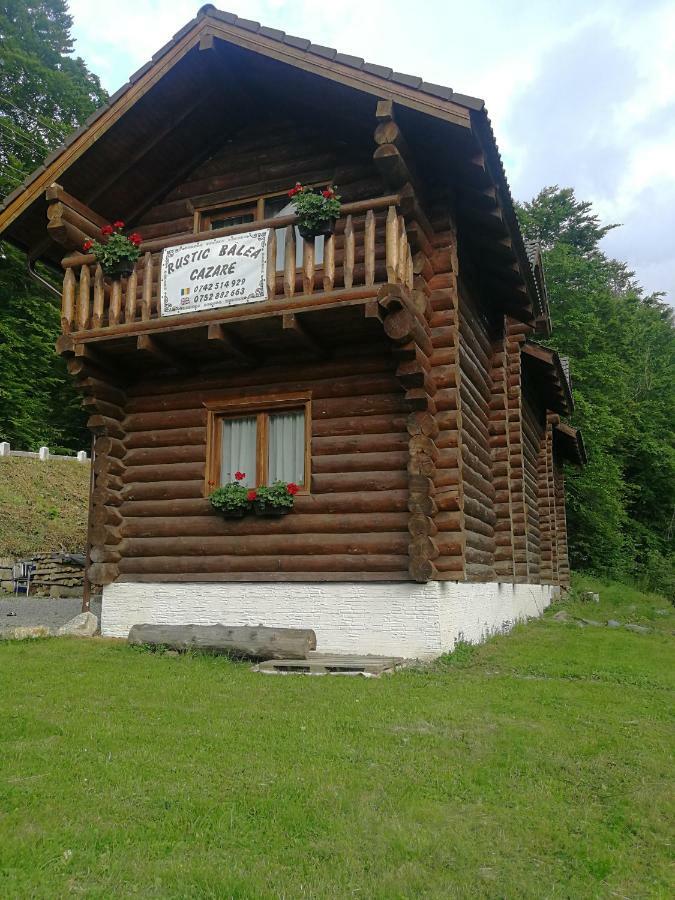 Cabana Rustic Balea Cîrţişoara Extérieur photo