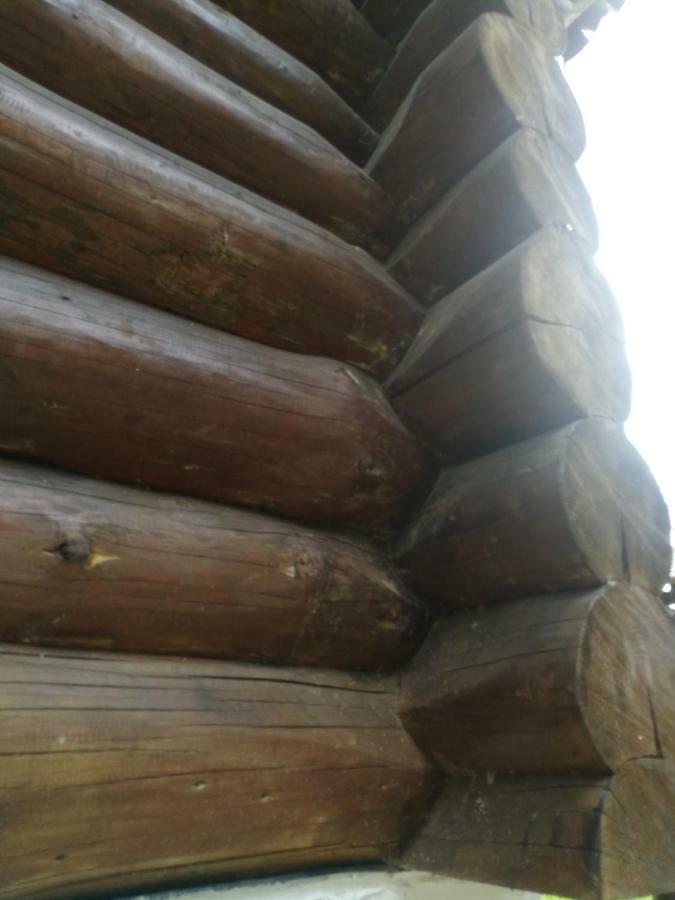 Cabana Rustic Balea Cîrţişoara Extérieur photo