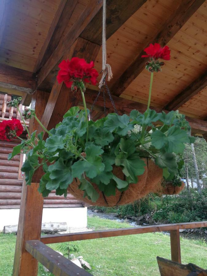 Cabana Rustic Balea Cîrţişoara Extérieur photo