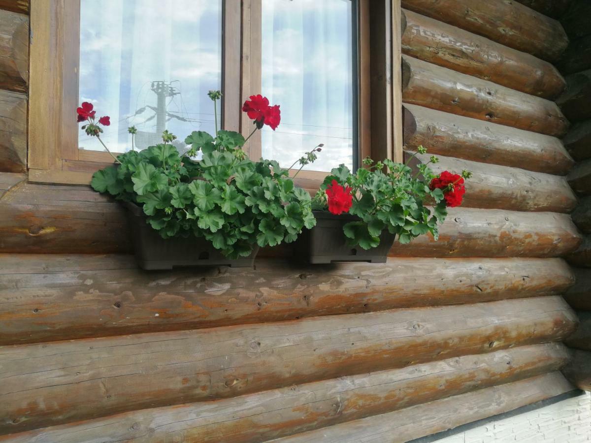 Cabana Rustic Balea Cîrţişoara Extérieur photo